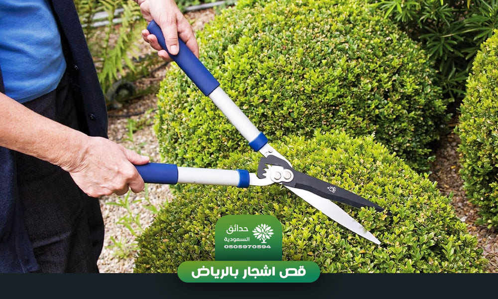 خدمة قص اشجار بالرياض بأفضل سعر | اتصل الان